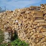 фото Березовые колотые сухие дрова